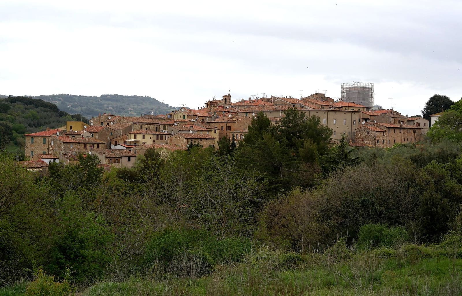 il borgo di pietra di Bibbona sulla sua collina, sette chilometri dentro la costa, sopra la macchia