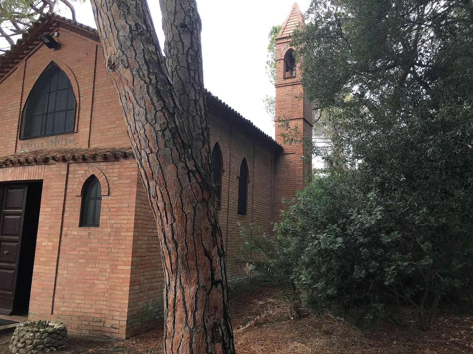 il fianco della chiesa e il piccolo campanile a punta, dietro il tronco di un pino