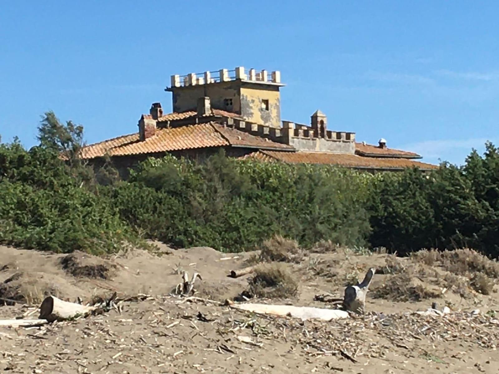 la torretta merlata del Forte che spunta oltre la macchia, vista dalle dune con i tronchi portati dal mare