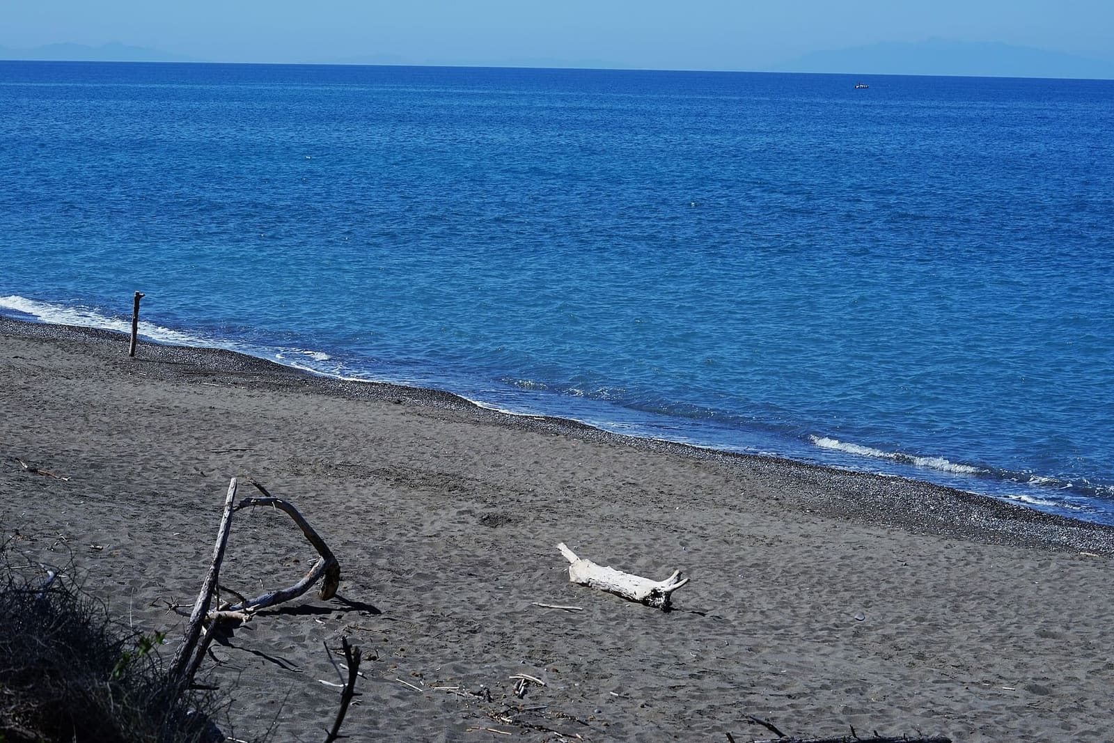 la spiaggia scura della Riserva dei Tomboli di Cecina, con i tronchi portati dal mare e le isole appena accennate all'orizzonte
