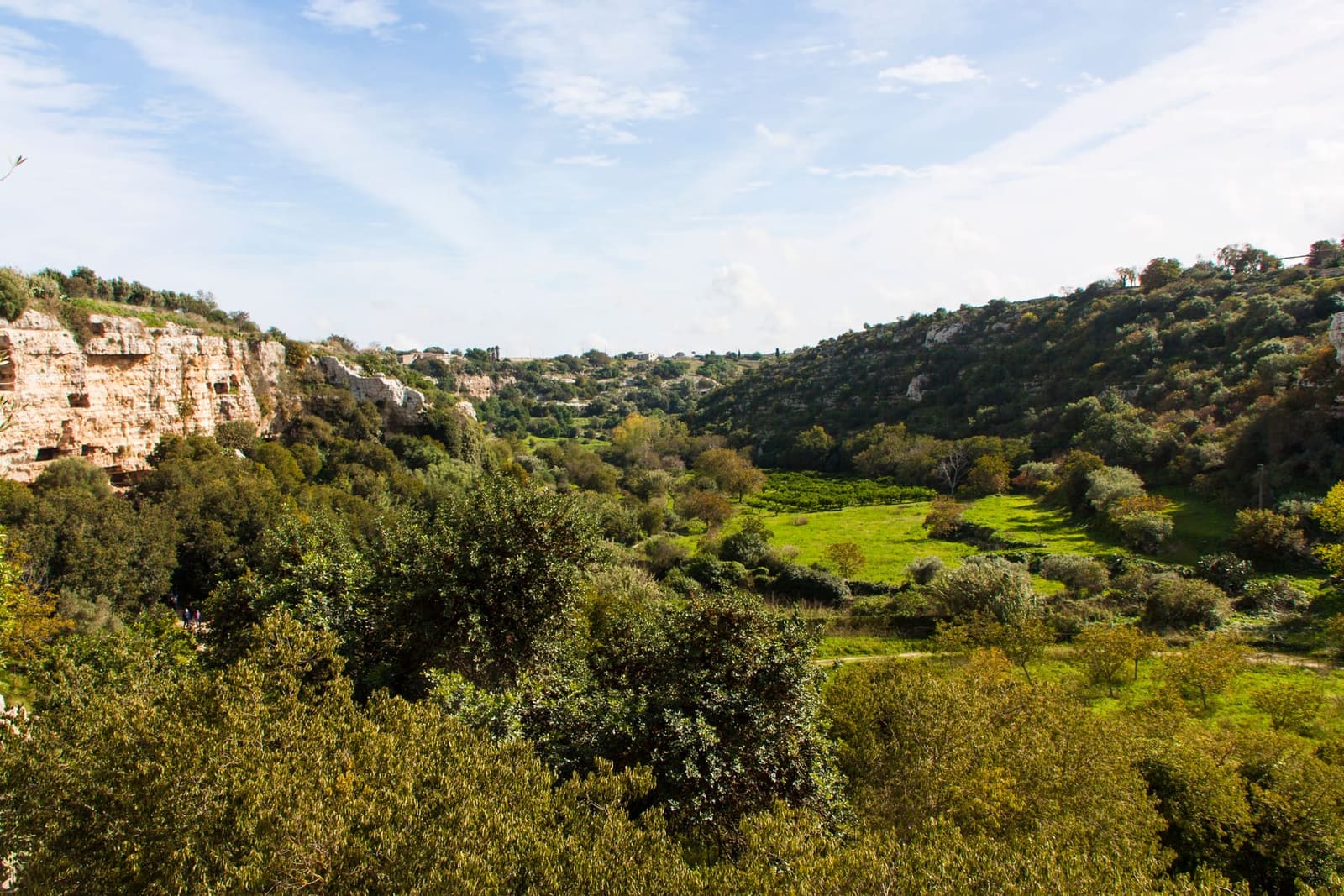 la Cava d'Ispica dal lato di Modica, la gola verde fra le pareti di calcare