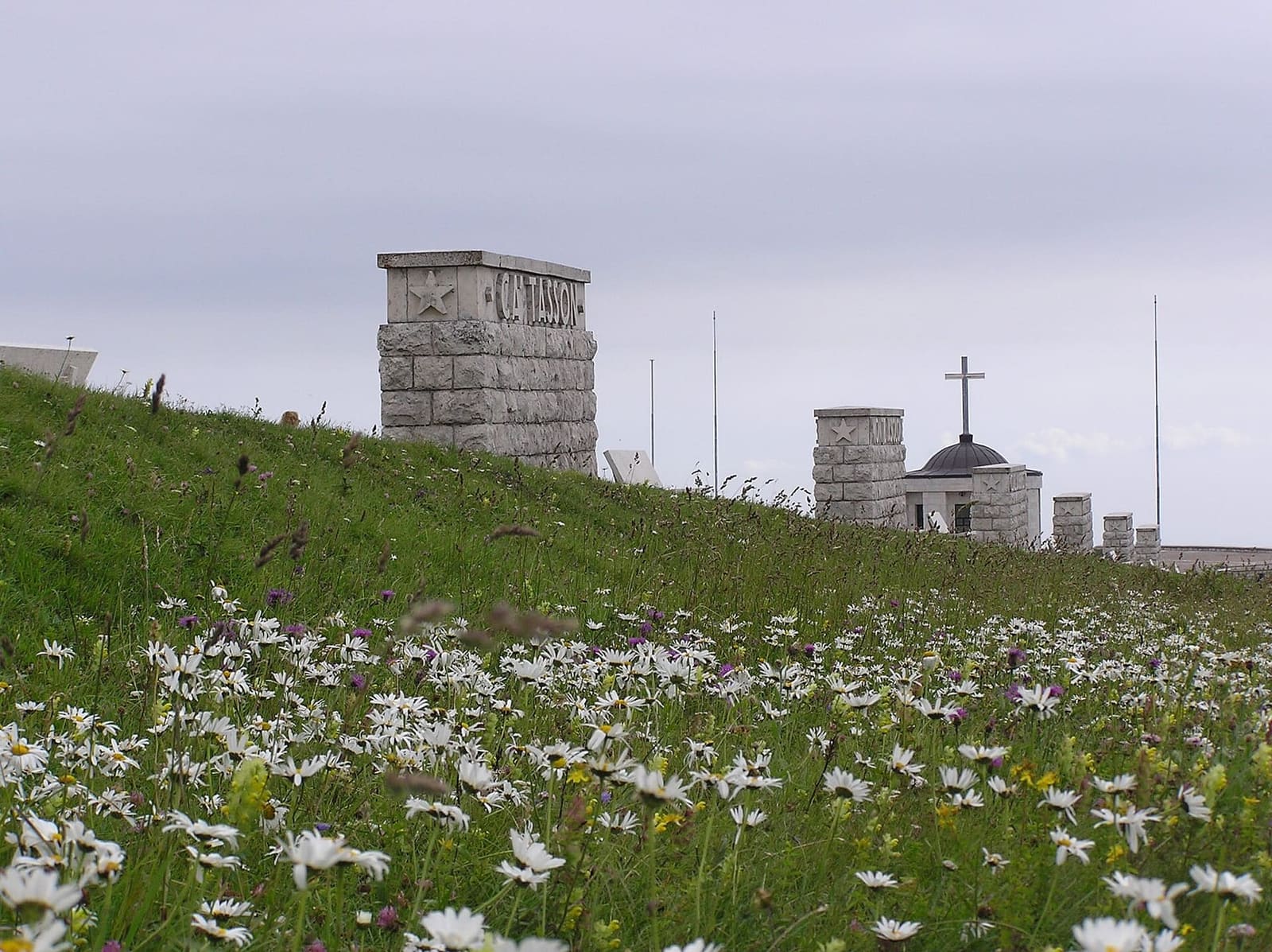 i cippi della Via Eroica sopra un prato di margherite e fiori di montagna
