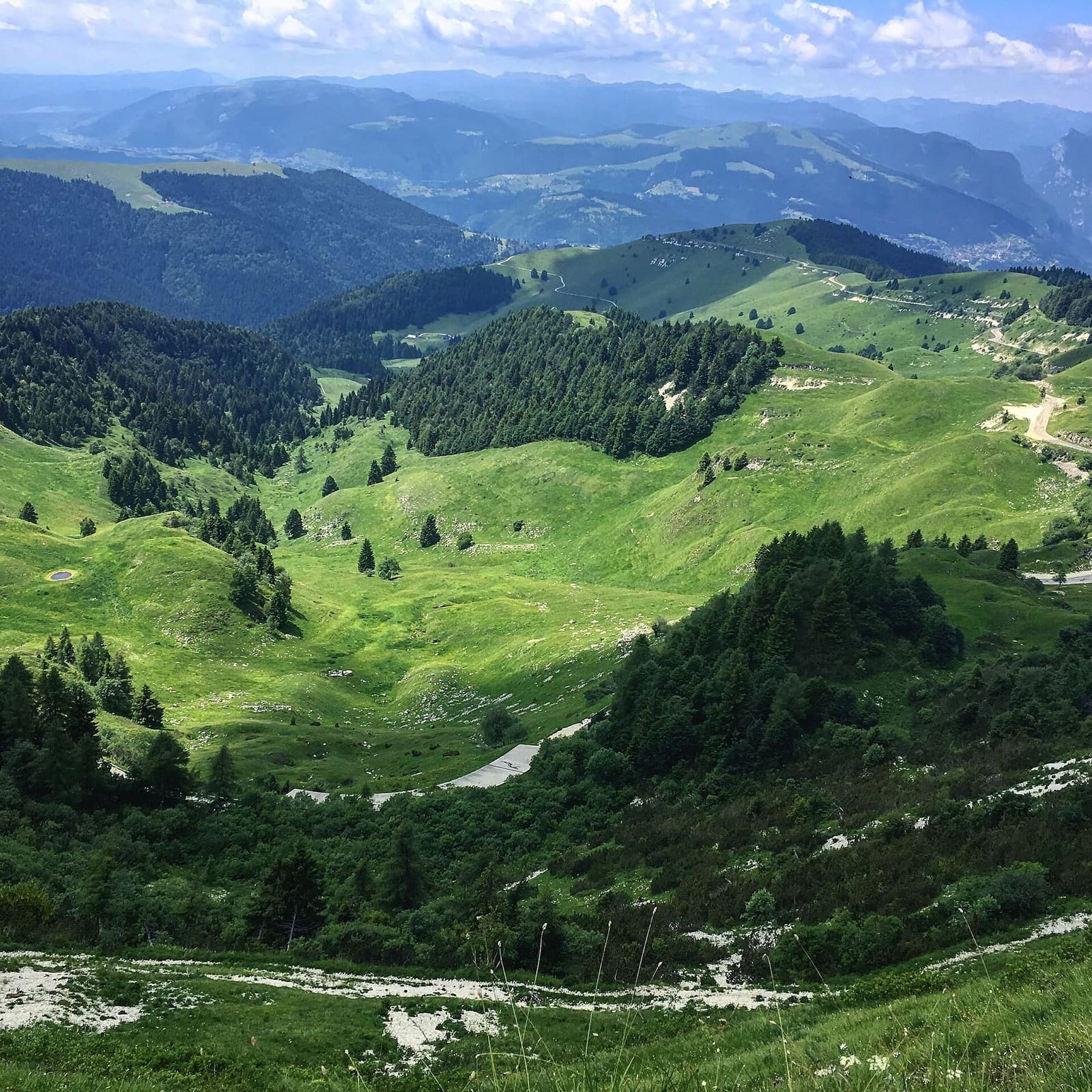 i prati e i boschi del massiccio del Grappa a giugno, con le strade che salgono verso la cima