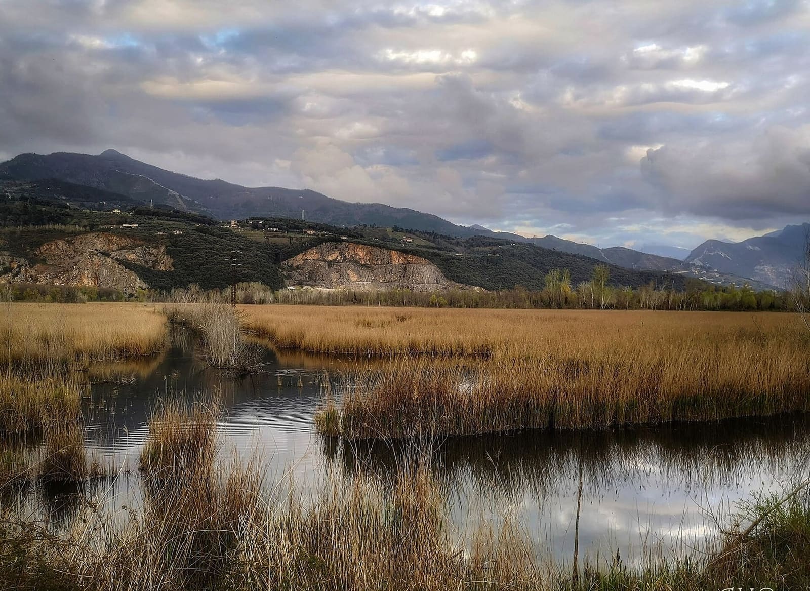 la roselière et les plans d'eau de l'oasis du Lago di Porta, sous les collines