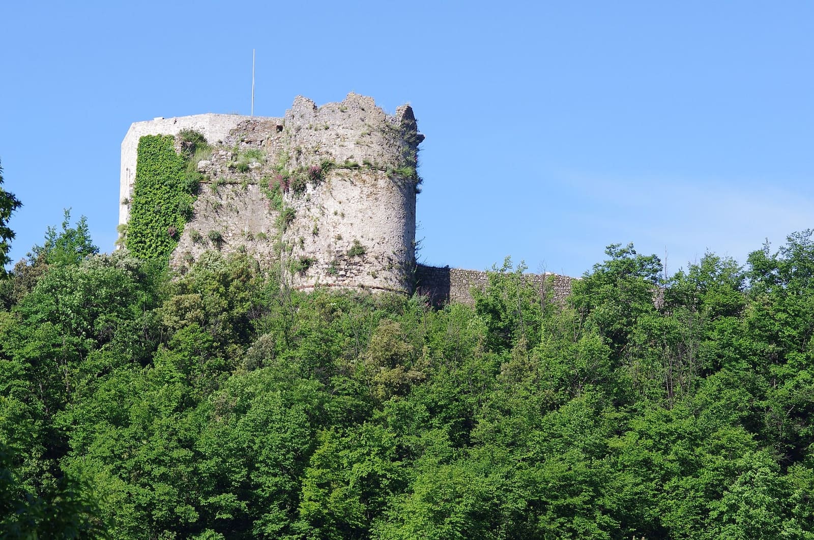 les tours du château Aghinolfi qui émergent de la verdure de la colline