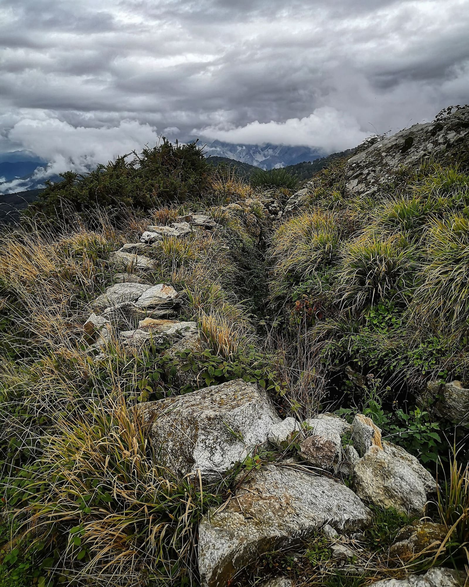 les restes d'une tranchée de la ligne Gothique sur le monte Folgorito