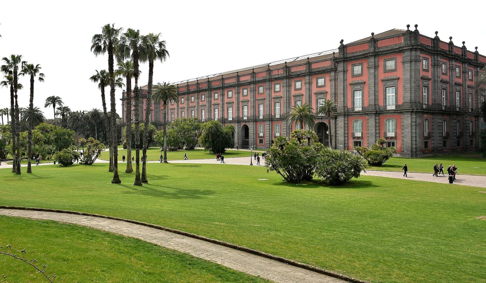 la Reggia di Capodimonte dal prato del Real Bosco, con le palme davanti