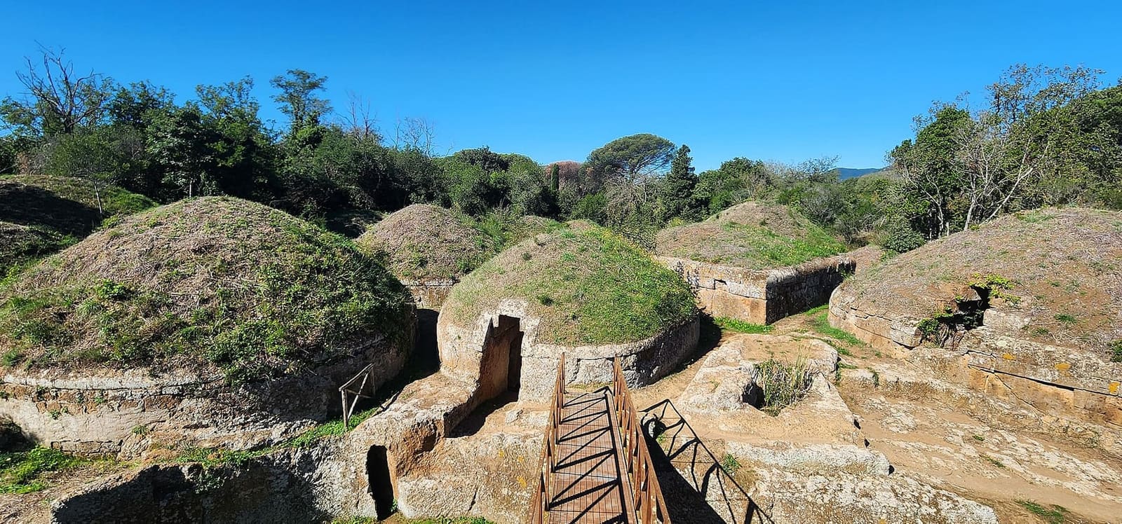 un gruppo di tumuli visti dall'alto, le cupole d'erba sui tamburi di roccia tagliata, e la passerella di legno che scavalca la trincea scavata nel tufo davanti alle porte