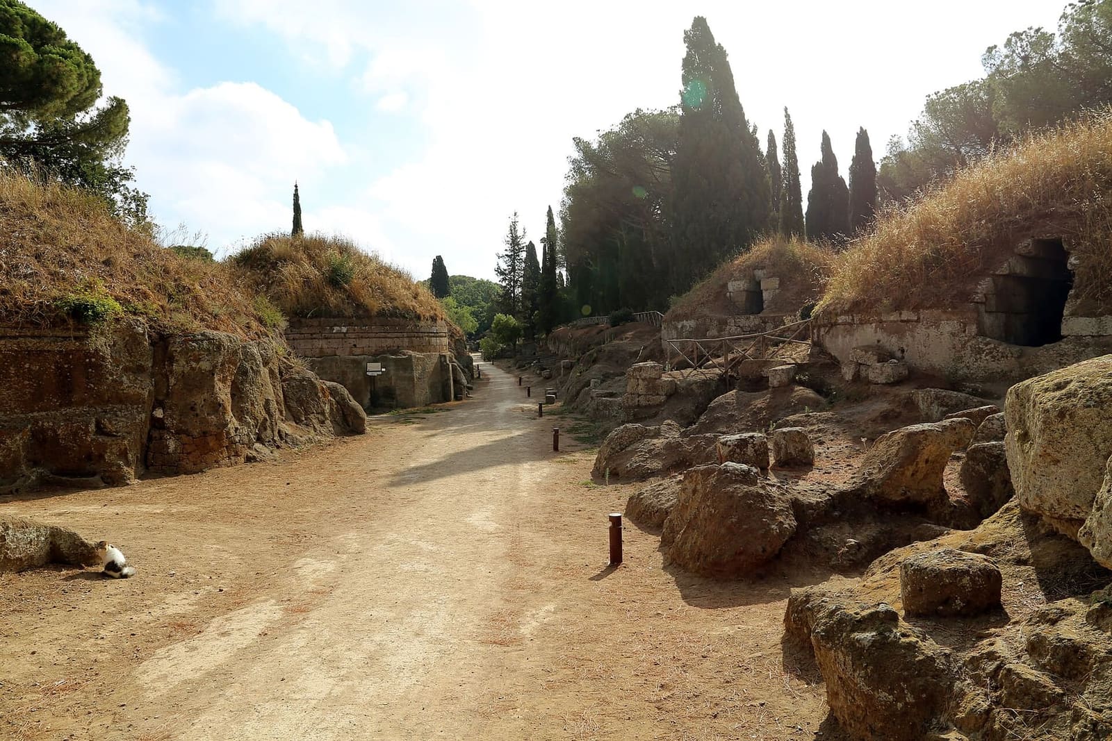 la via sepolcrale principale di terra battuta, con i tumuli d'erba secca a sinistra, i blocchi di tufo a destra e i cipressi in fondo