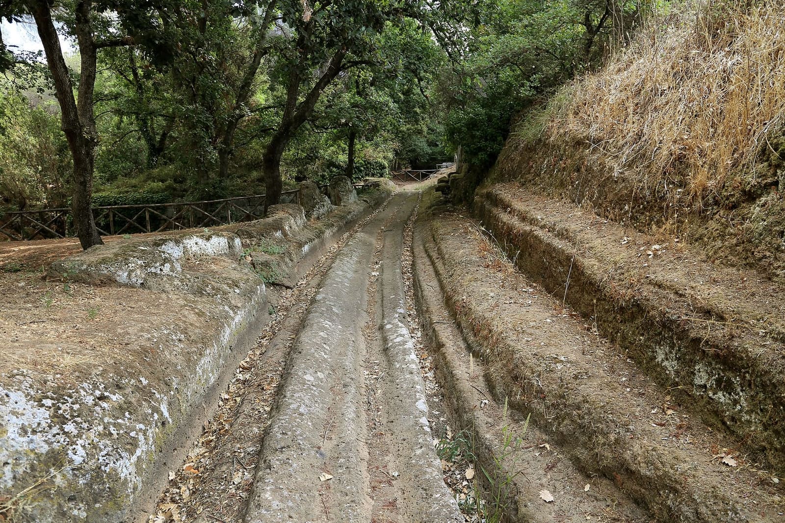 una strada sepolcrale scavata nel tufo sotto le querce, con i solchi lungo il fondo e la canaletta per l'acqua sul lato, fra le sponde di roccia tagliata