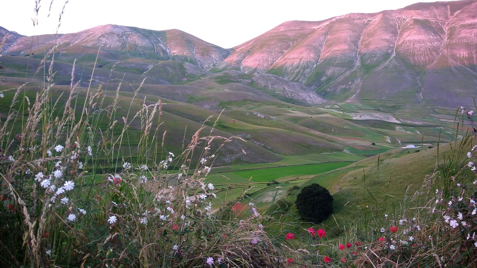 il Monte Vettore nella luce della sera, sopra i prati di Castelluccio