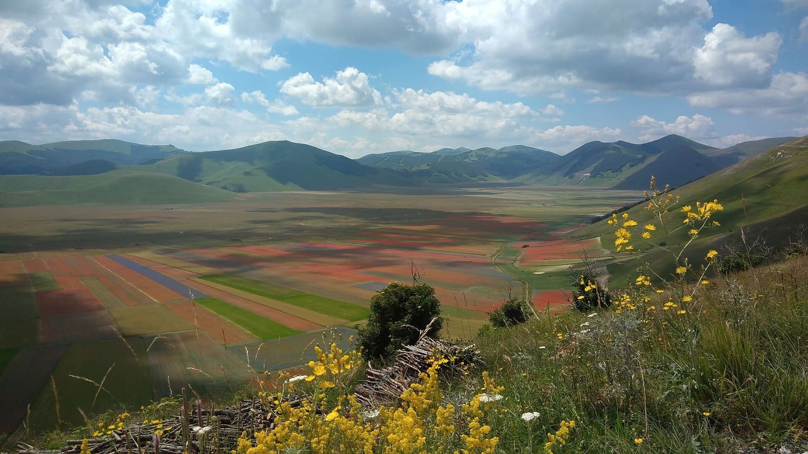 il Pian Grande in fiore visto dall'alto, nel luglio 2018