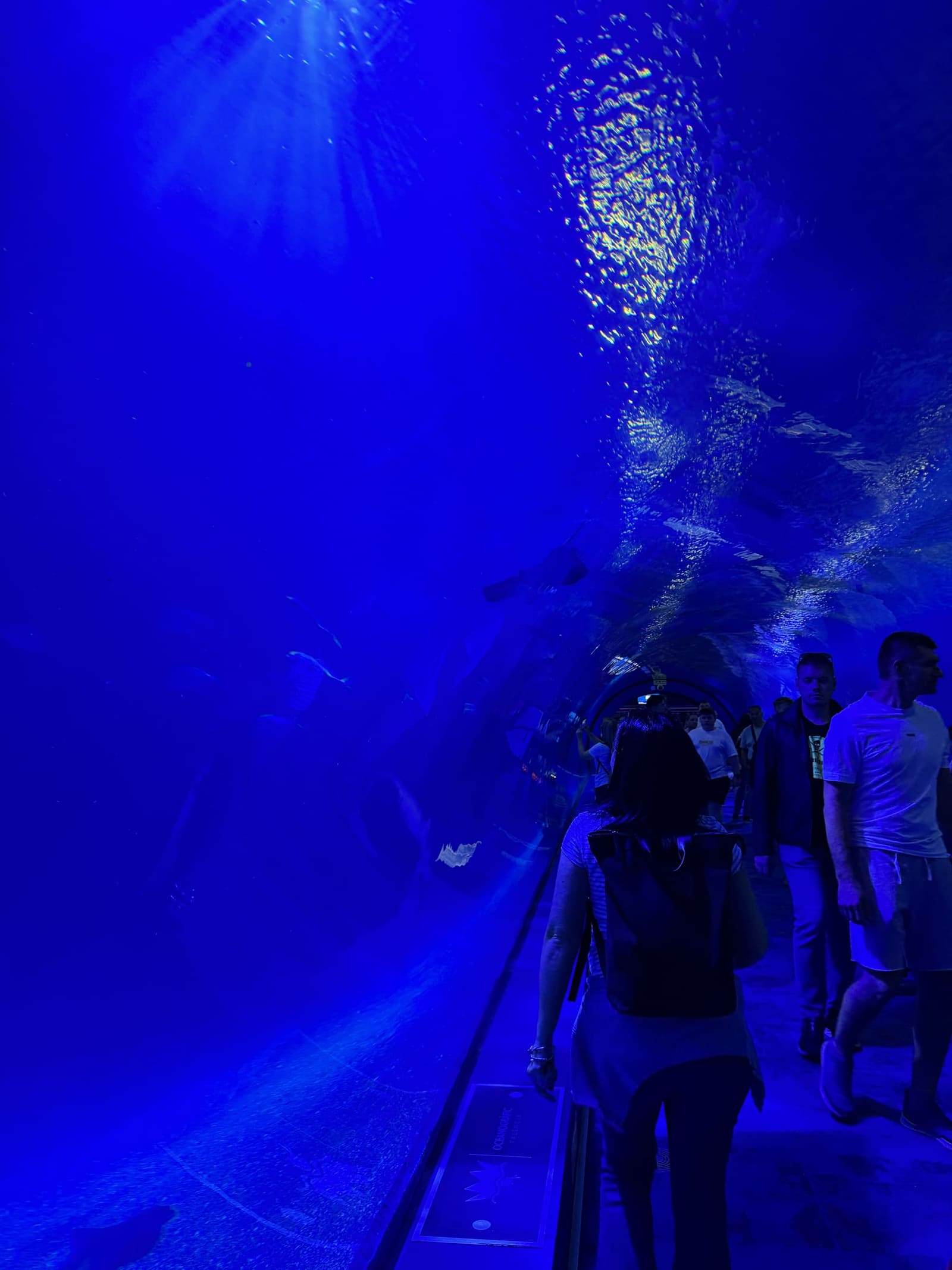 il tunnel degli Oceans dall'altro capo, con la luce che entra dalla superficie