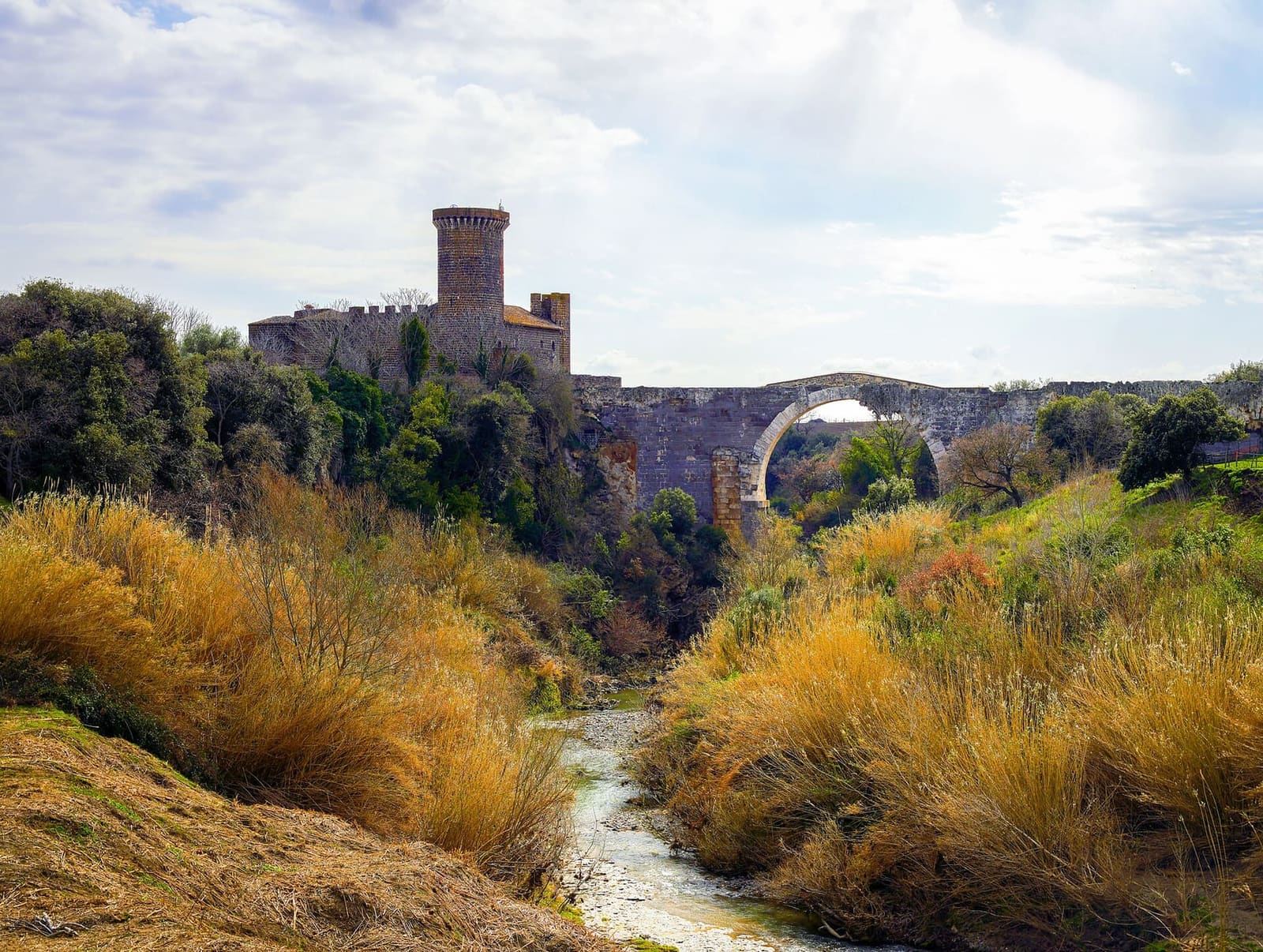 il castello dell'Abbadia con la torre tonda sopra la gola, e accanto il ponte dell'Abbadia con l'arcata grande, visti dal letto del Fiora fra le canne secche