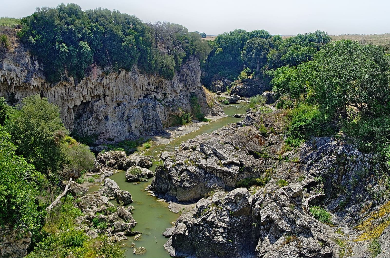 la gola del Fiora sotto il ponte, con le pareti di roccia scavate dall'acqua, i massi chiari e il fiume verde che passa fra i sassi