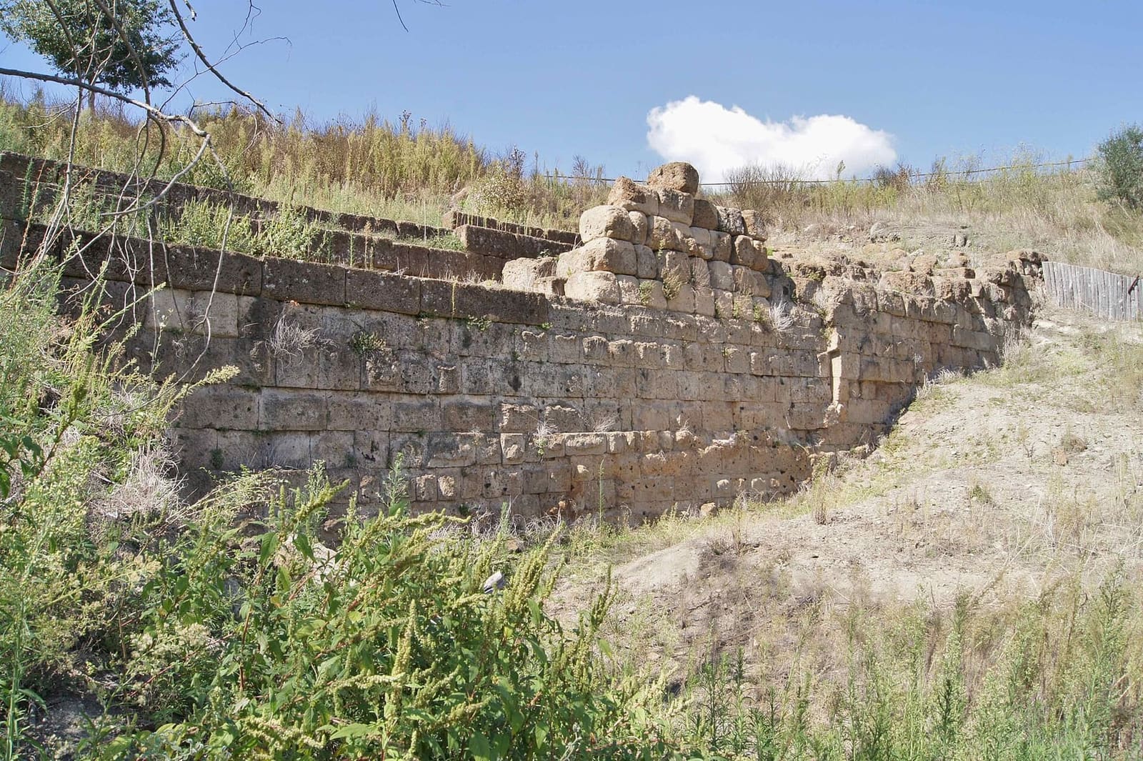 un tratto delle mura etrusche, i filari di blocchi di tufo che spuntano dall'erba secca sul bordo del pianoro