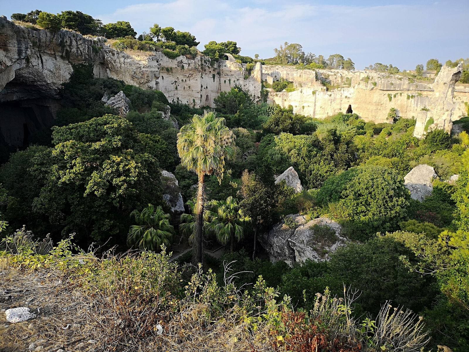 la Latomia del Paradiso vista dall'alto, il fondo della cava pieno di alberi e di palme fra le pareti di pietra