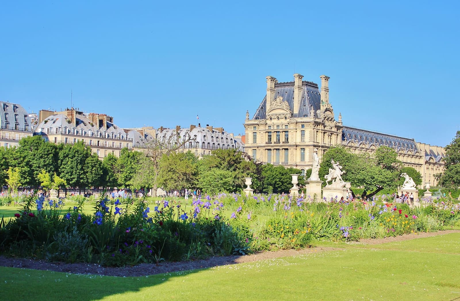 the Louvre palace seen from the flowerbeds of the Jardin des Tuileries