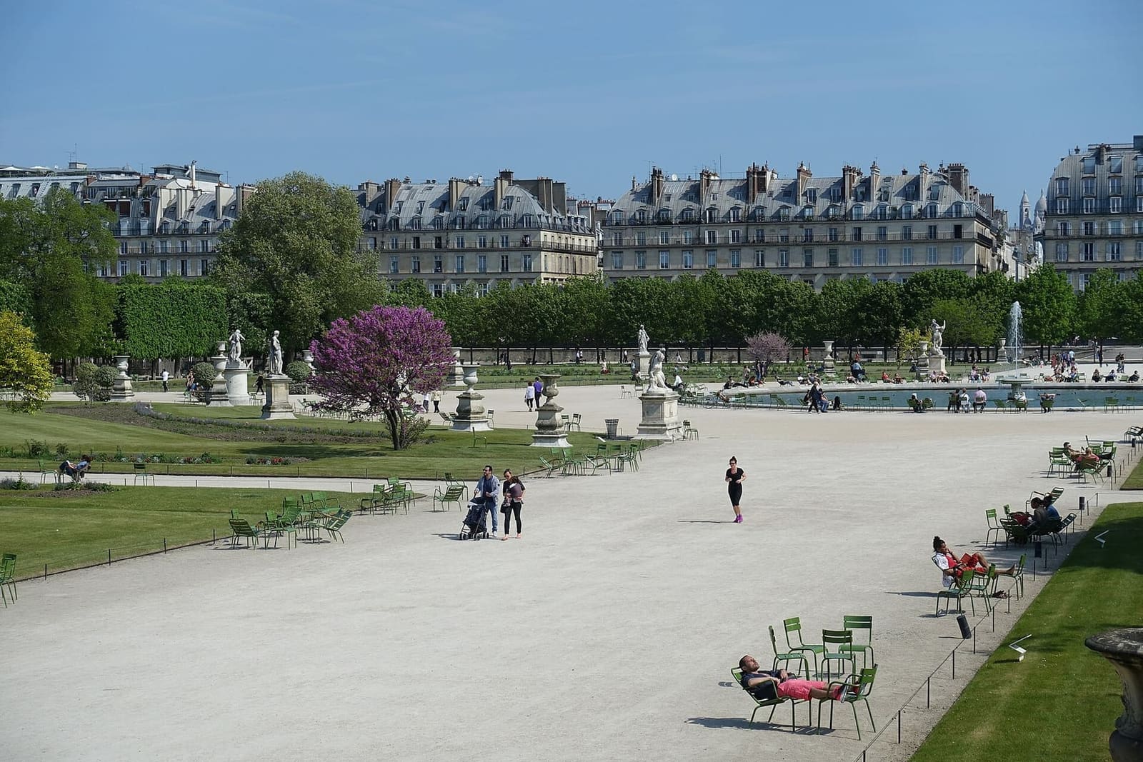 trees in blossom and the pool along the Grande allée of the Tuileries