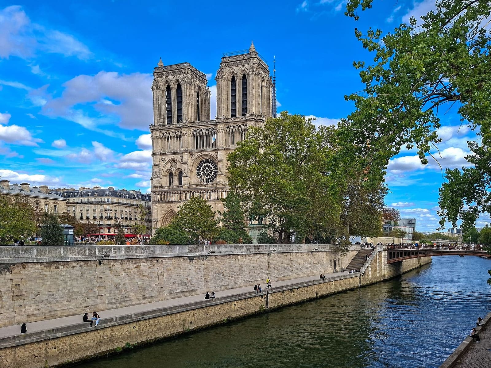 the towers of Notre-Dame above the trees of the quay, seen from the Seine