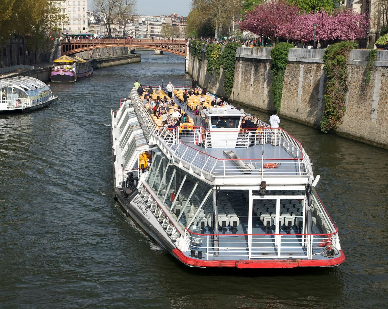 a Bateau-Mouche on the Seine near Notre-Dame, with a tree in blossom on the quay