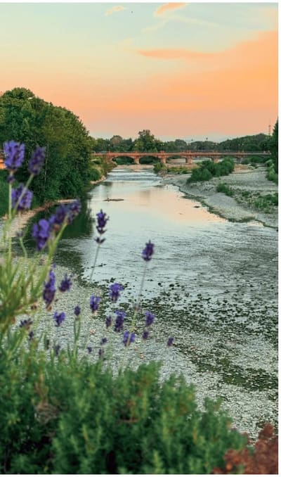 il torrente Parma al tramonto, un ponte in mattoni e la lavanda fiorita sull'argine