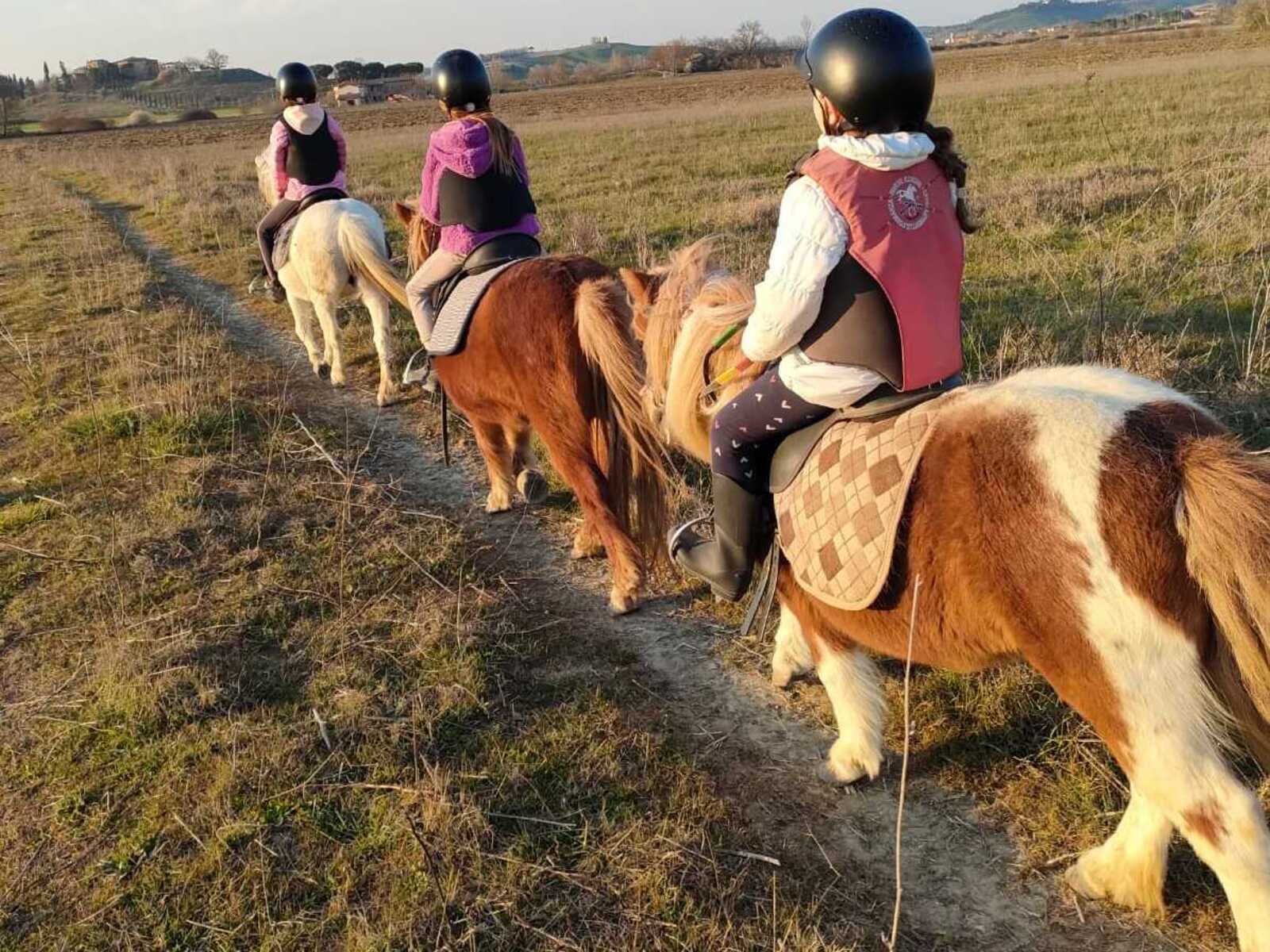 i pony dei più piccoli, in fila sul sentiero nel campo