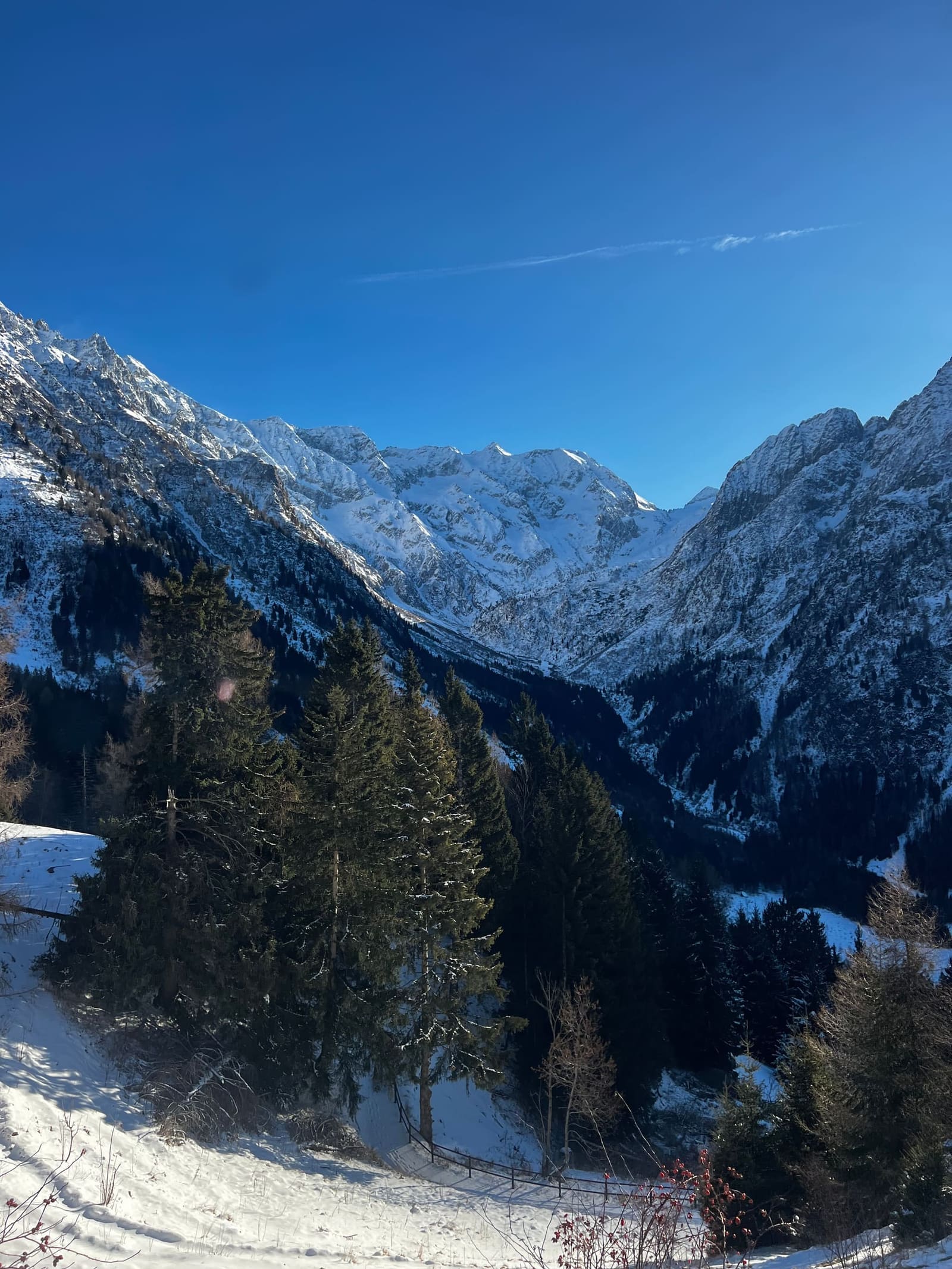 la valle innevata e le cime, dalla strada che sale al Passo del Tonale