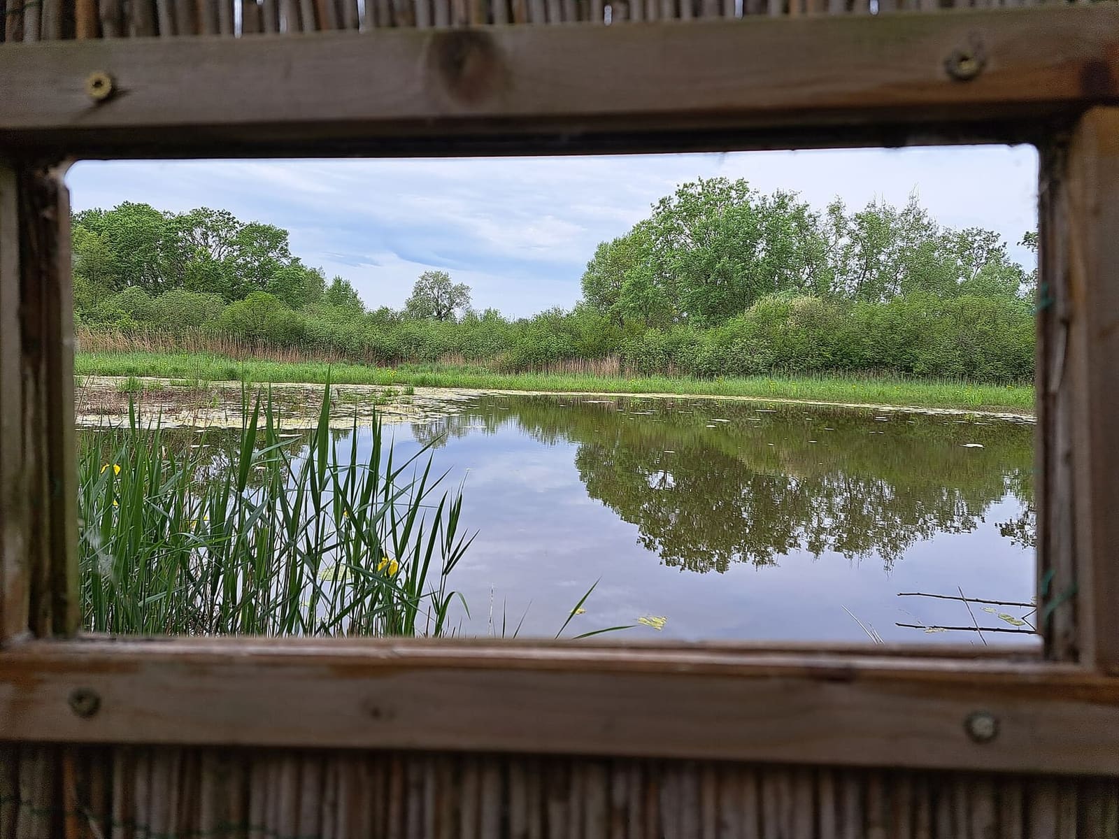 das Wasser der Oase Punte Alberete, von einer Beobachtungshütte aus gesehen