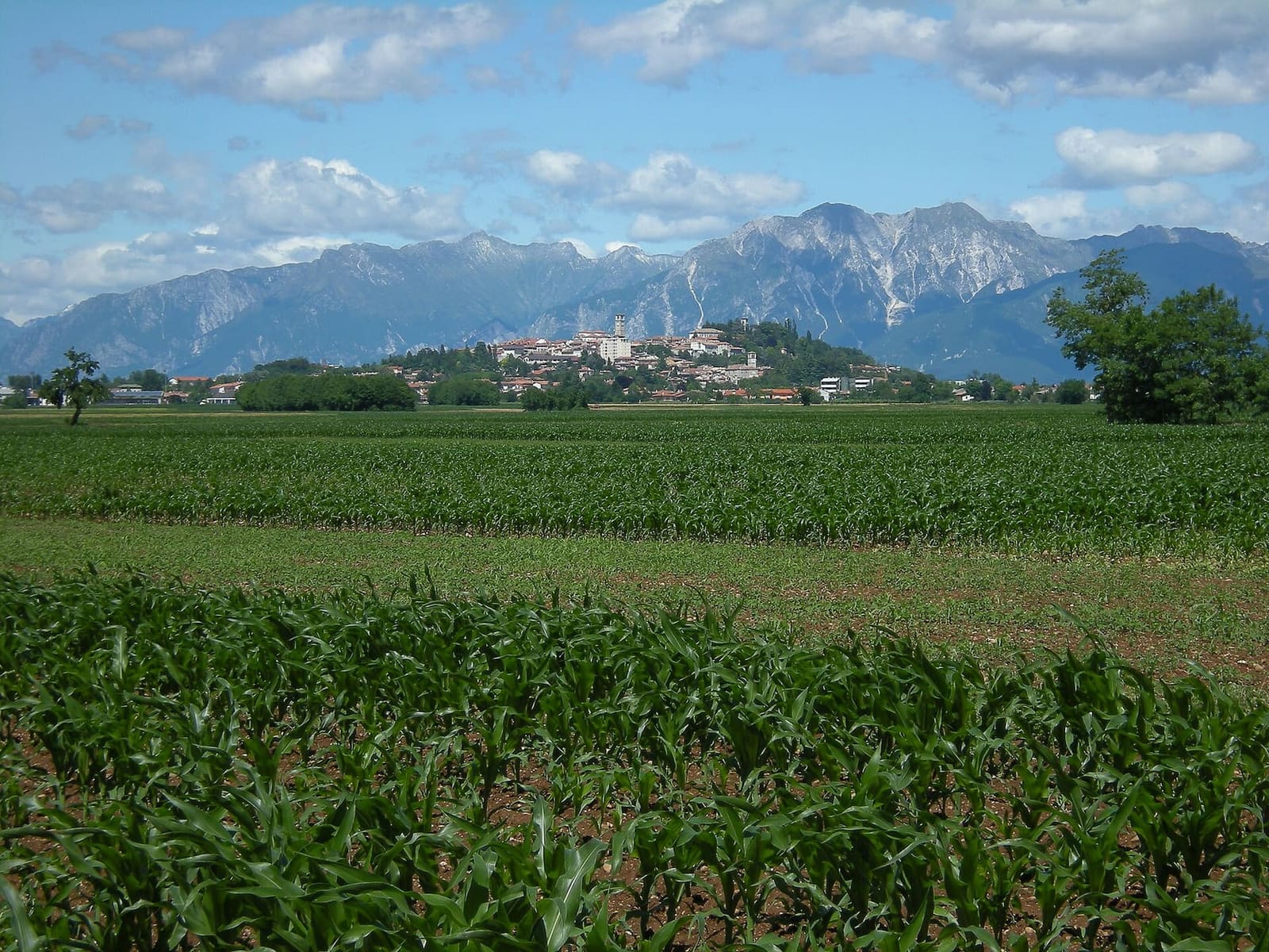 San Daniele del Friuli auf seinem Hügel, von den Feldern von Villanova aus gesehen, mit den Bergen dahinter