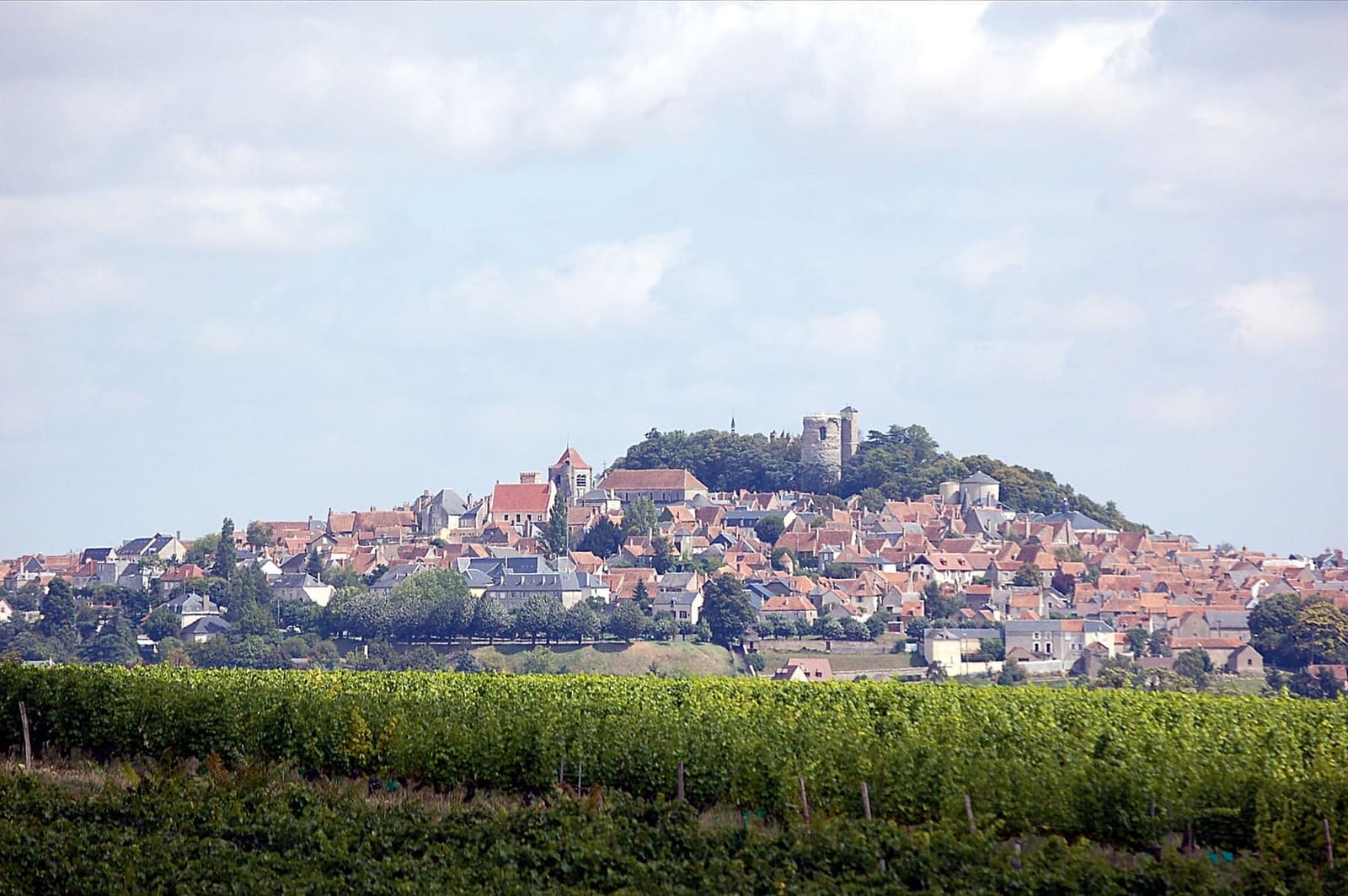 le case di Sancerre strette sulla collina, sopra un filare di vigna, ad agosto