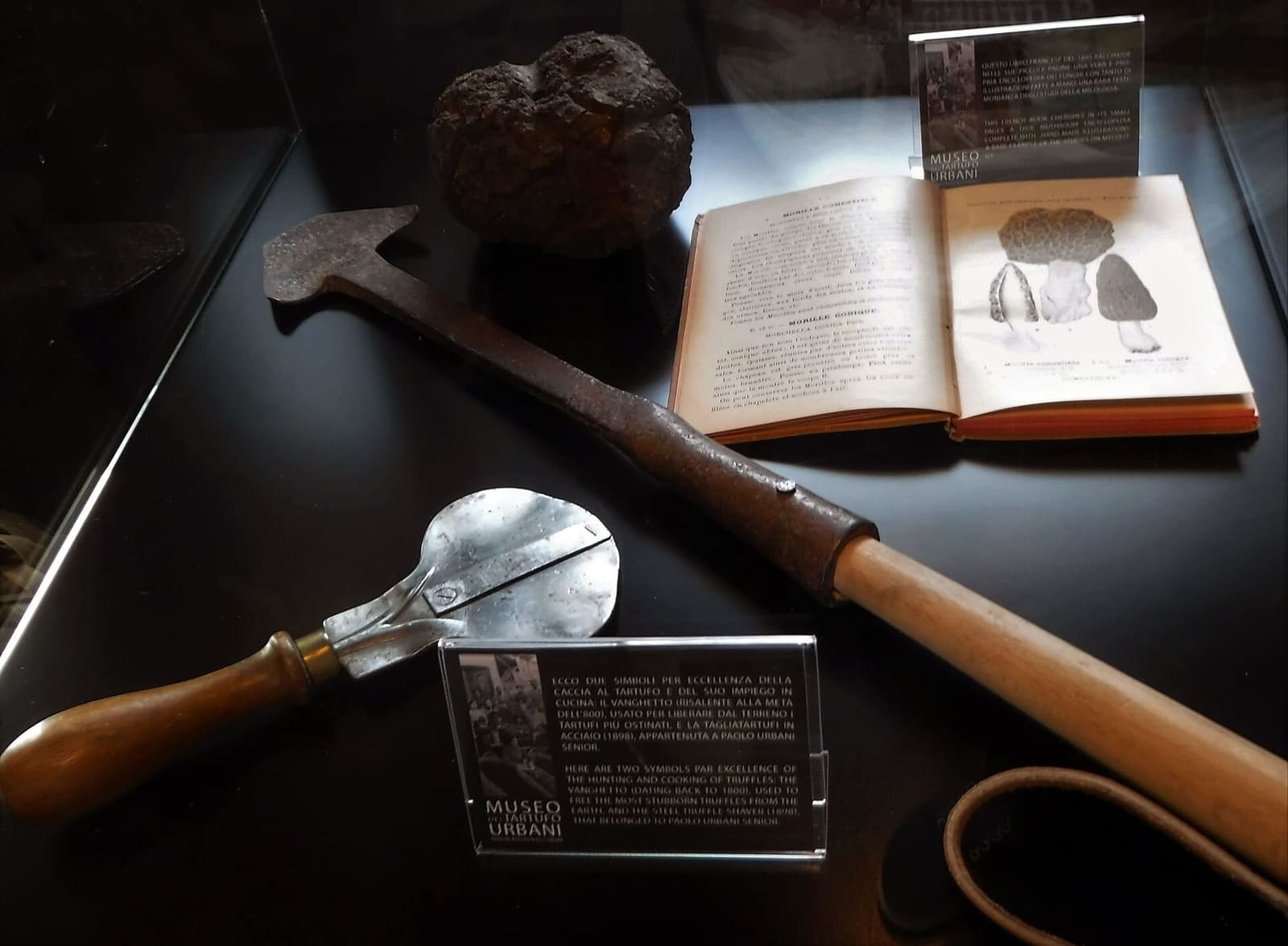 un tagliatartufi d'acciaio del 1898 fra le vetrine del Museo del Tartufo Urbani a Scheggino