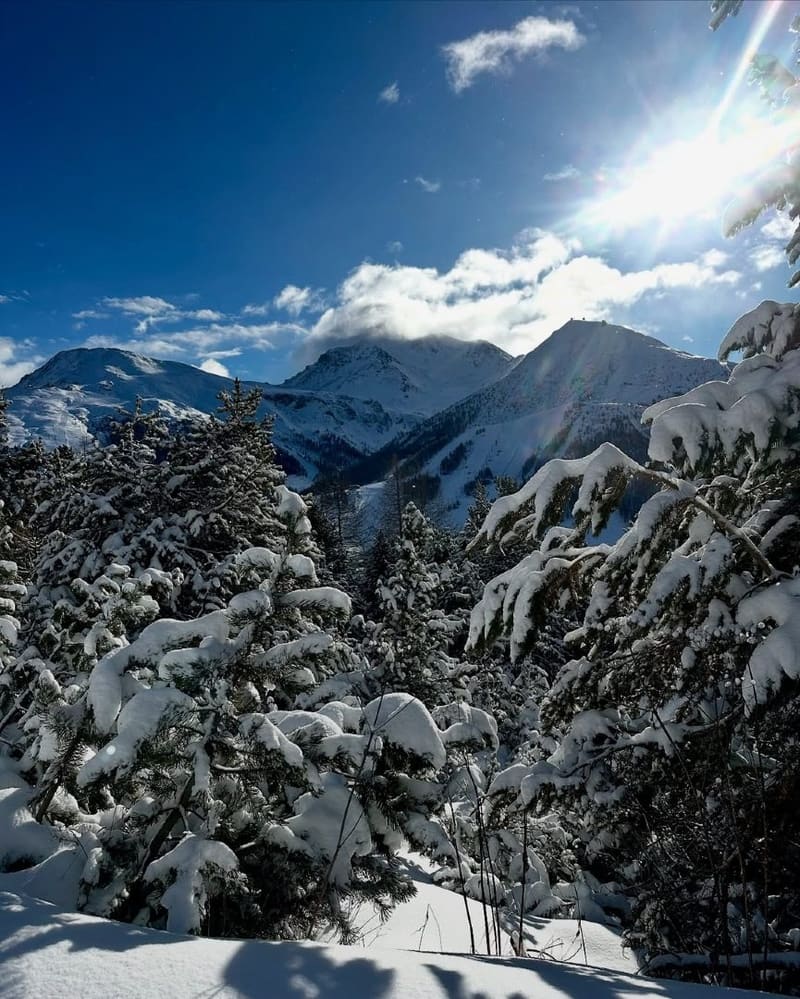 abeti carichi di neve e le creste sopra il colle