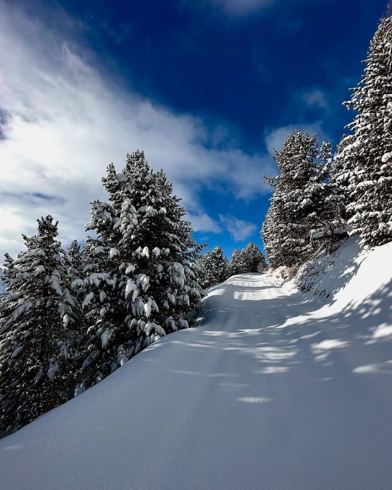 una pista battuta nel bosco, appena fuori dal paese