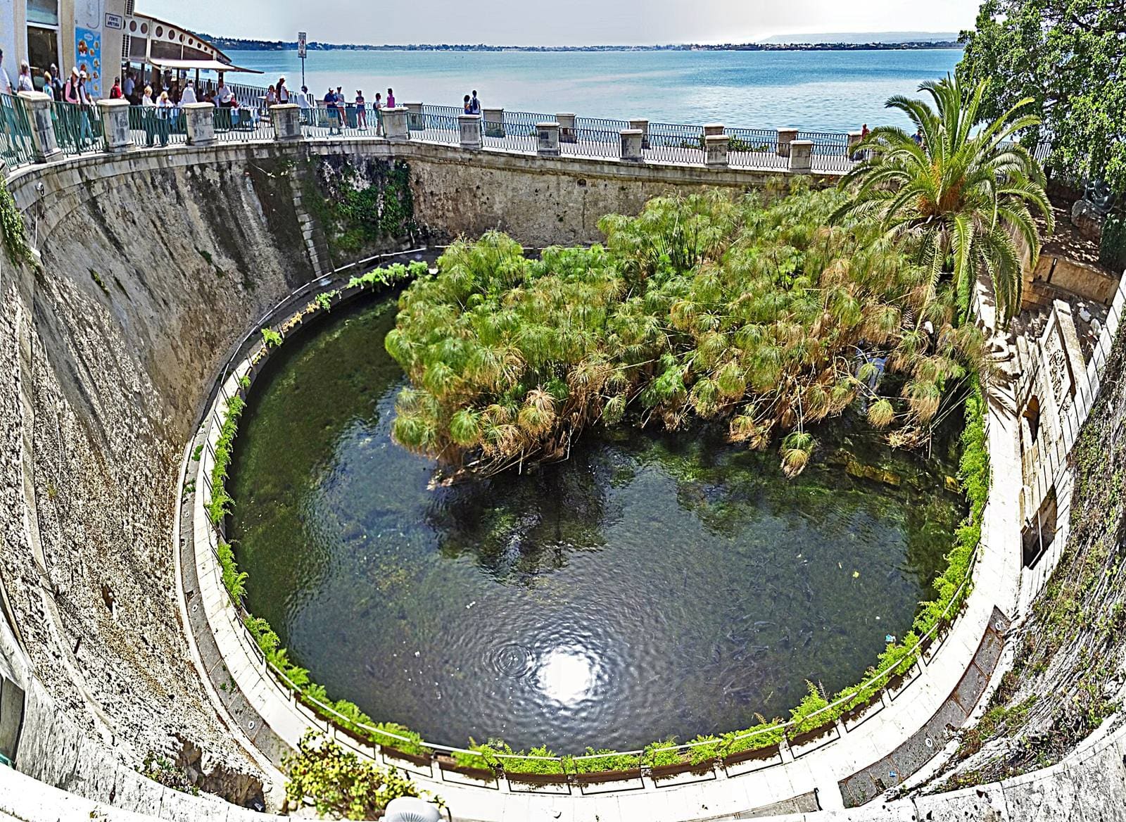 die Arethusa-Quelle von oben, das Süßwasserbecken mit der Papyrusinsel, dahinter der Porto Grande