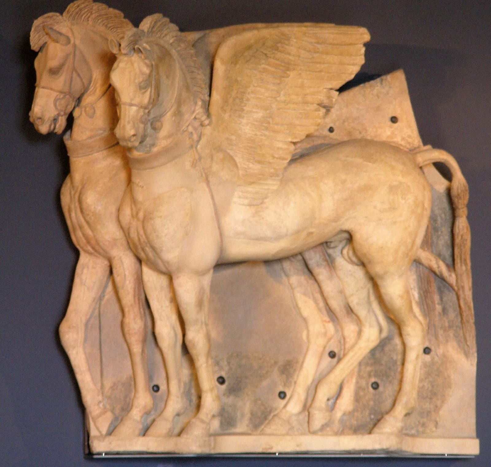 i cavalli alati di terracotta dell'Ara della Regina, la coppia affiancata con le briglie e le ali spiegate, al museo