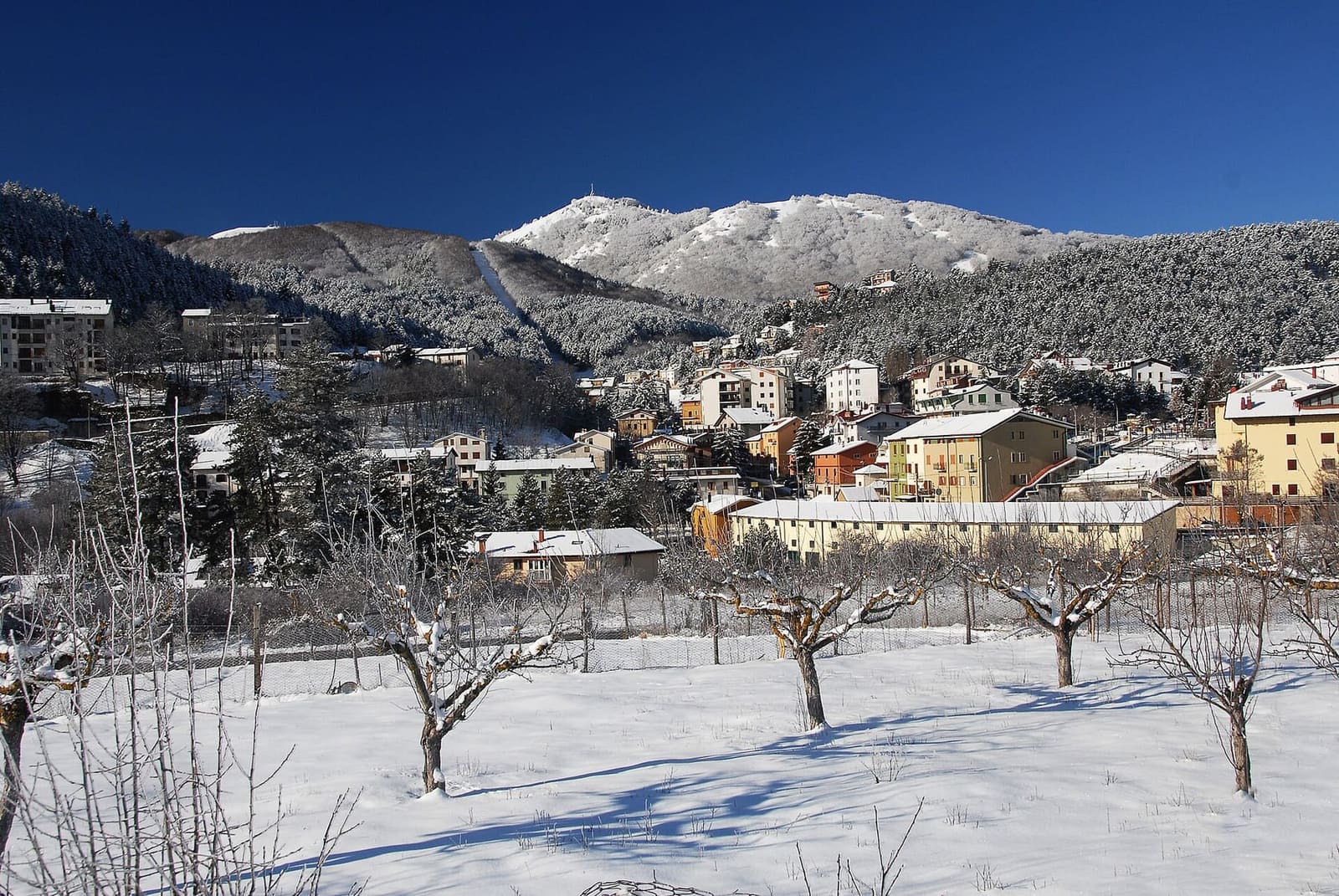 Roccaraso under the snow, with the fruit trees turned white in front of the village