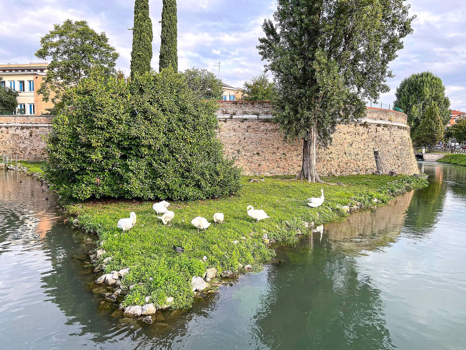 die Bastion Santa Sofia an den venezianischen Mauern, mit den Schwänen auf der kleinen Insel im Graben
