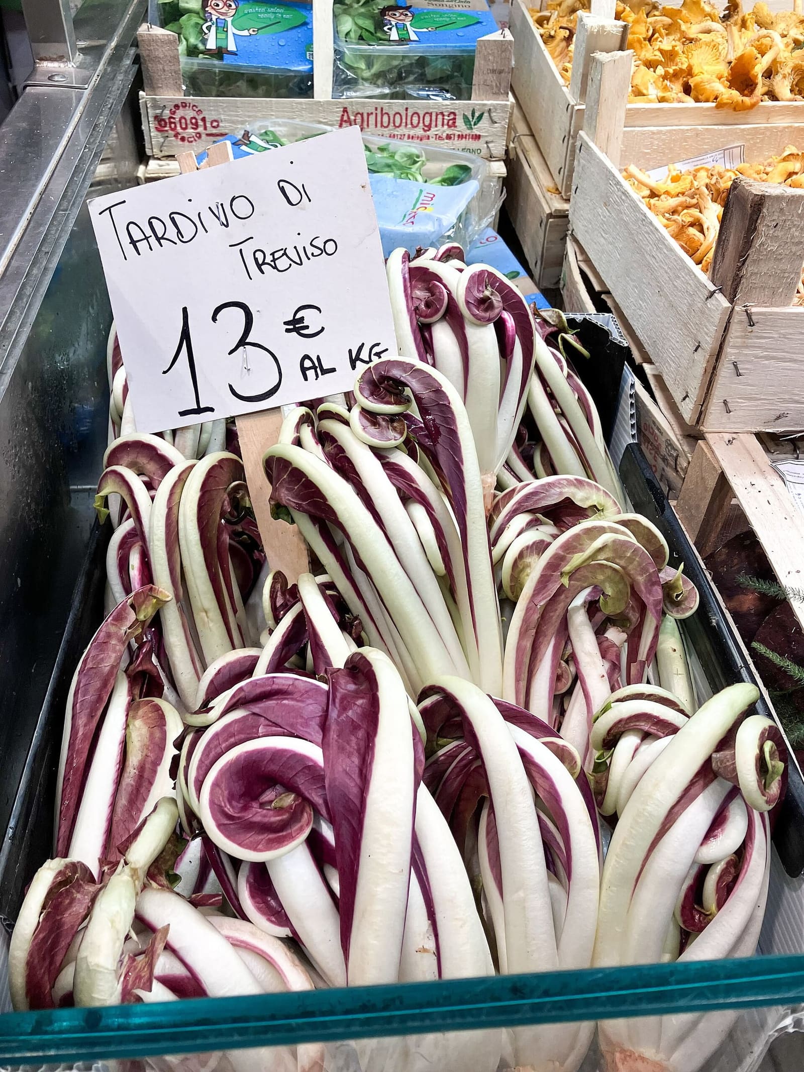 der späte Radicchio rosso di Treviso auf einem Marktstand, mit den gekräuselten Blättern