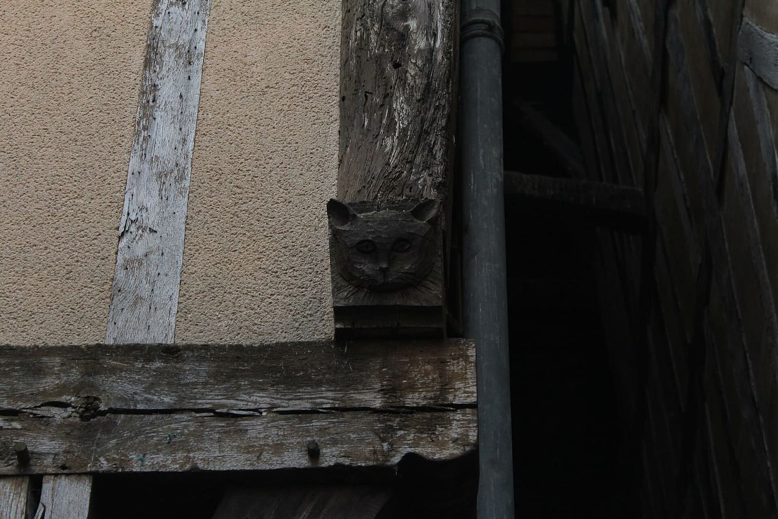 la testa di gatto scolpita su una trave della ruelle des Chats, da cercare con i bambini