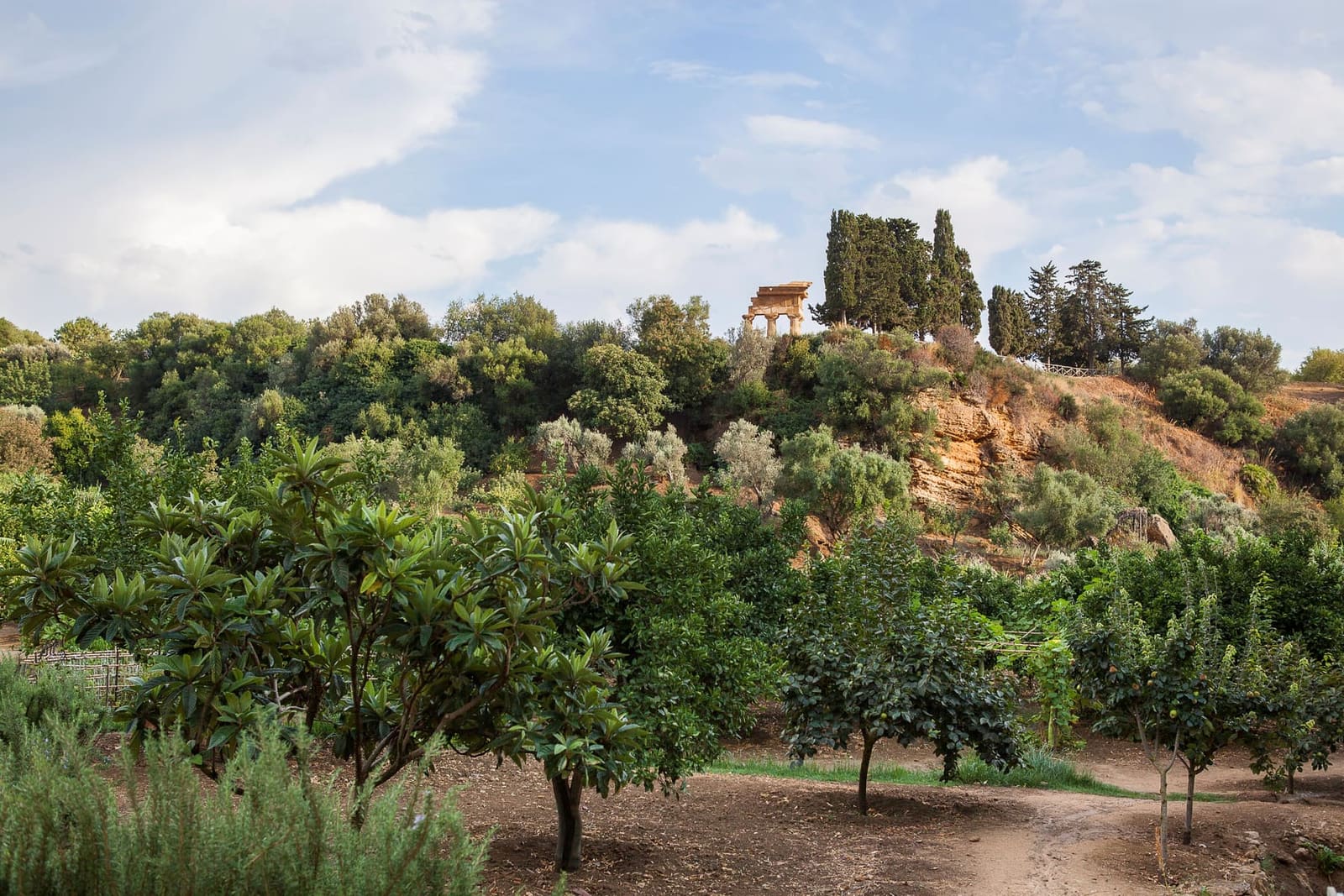 il giardino della Kolymbethra, gli alberi da frutto in fondo alla valle che il FAI ha rimesso in vita