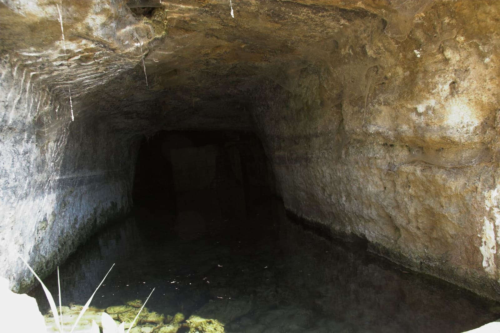 dentro uno dei canali scavati nella roccia sotto la Kolymbethra, con l'acqua ancora sul fondo