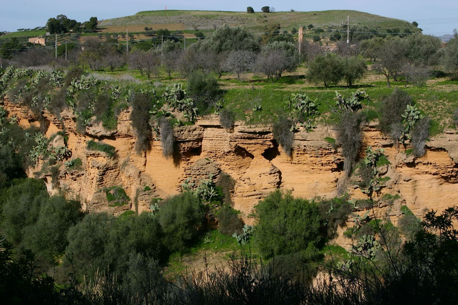 la valle della Kolymbethra dall'alto, le pareti di tufo e il verde del giardino sul fondo