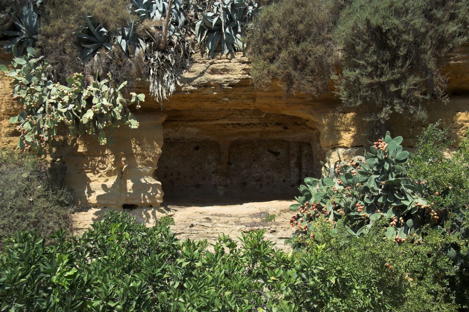 un ipogeo scavato nella roccia, fra i fichi d'India della Kolymbethra
