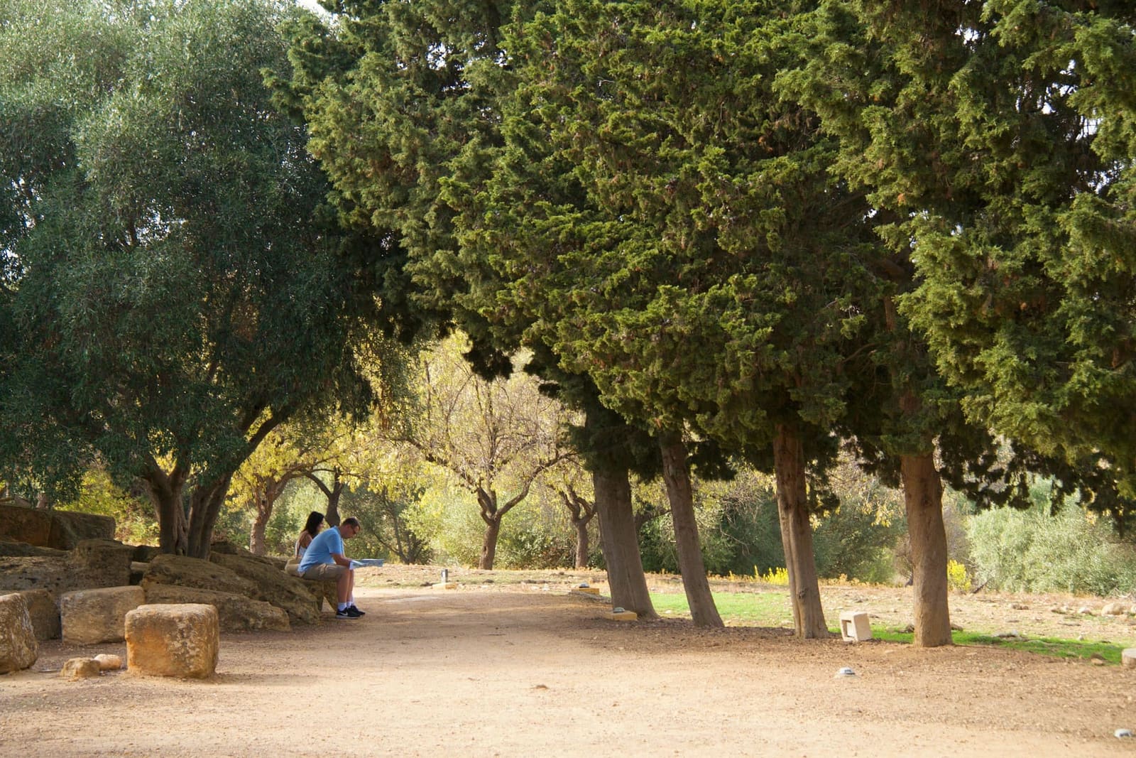 un viale all'ombra degli alberi nella Valle dei Templi, con i blocchi di pietra ai lati