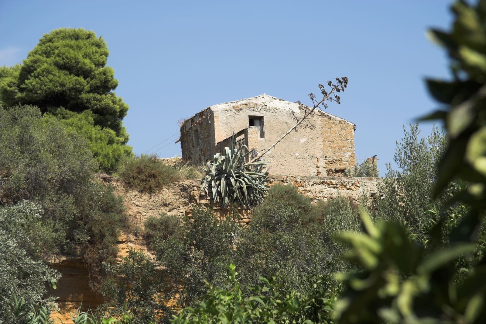 una casa di pietra fra gli alberi e le agavi della Kolymbethra
