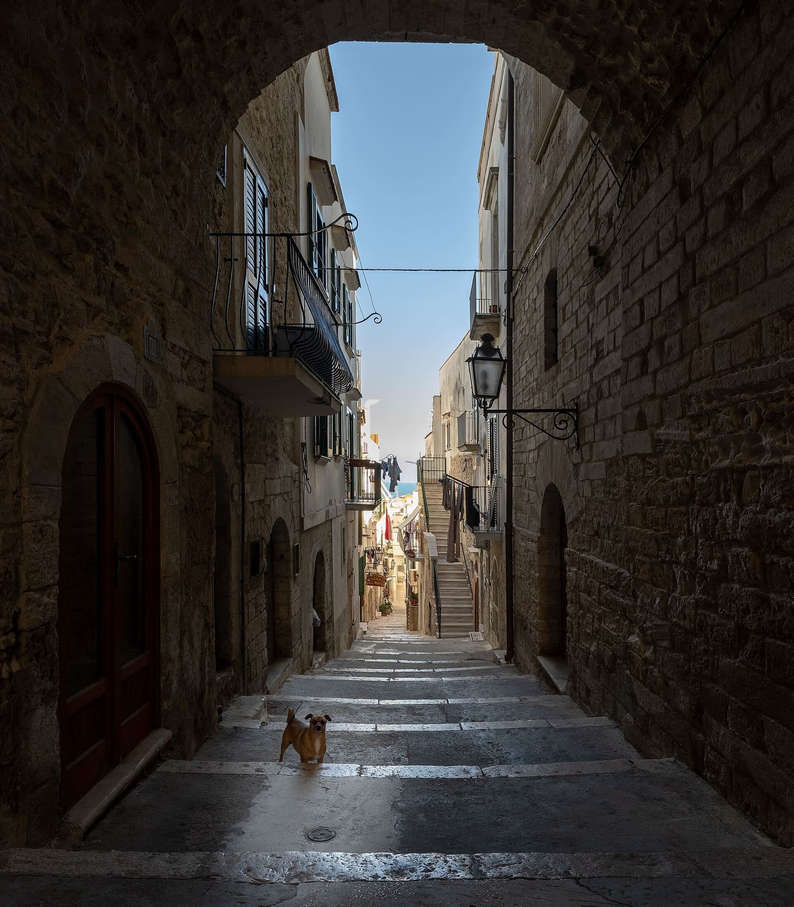 un arco di via Alessandro III, nel centro storico, con un cane sui gradini